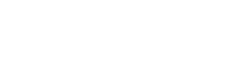 LONE STAR logo