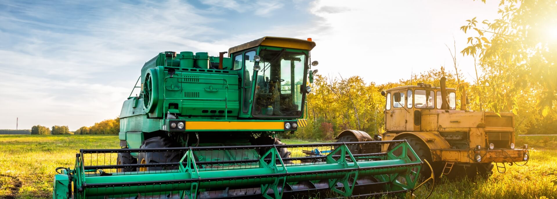 Agriculture & Forestry