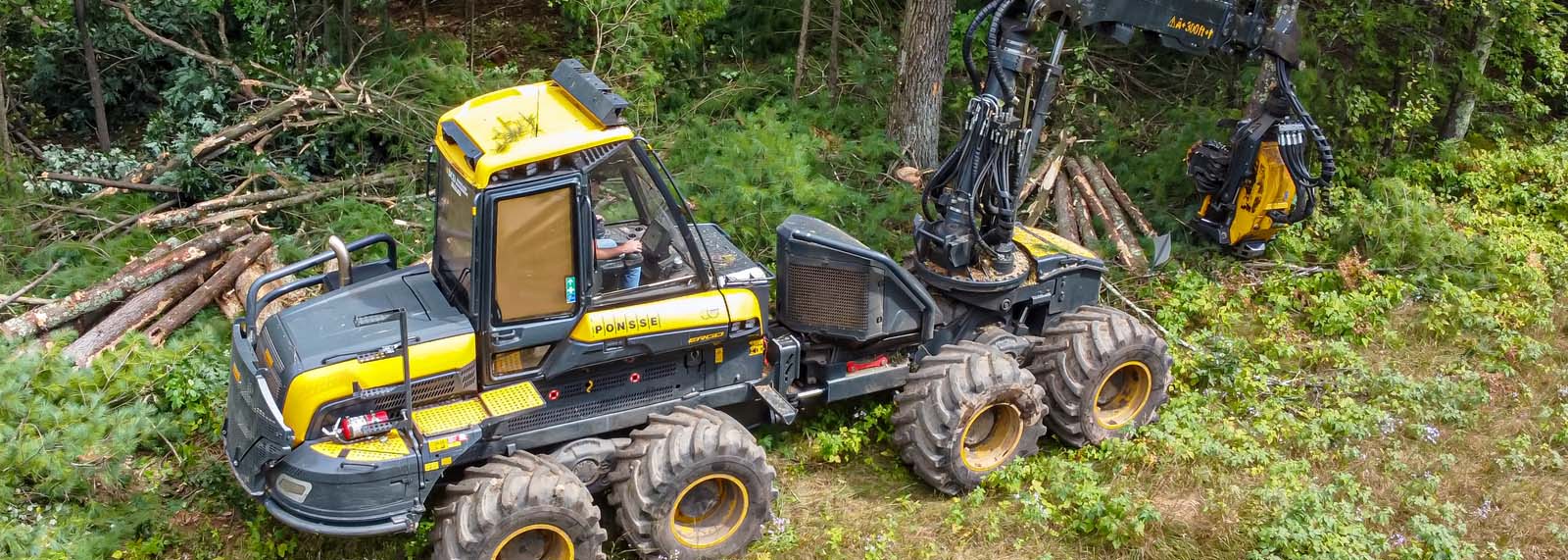 Resistance in the Forest: The Vital Importance of Specialized Greases for Forestry